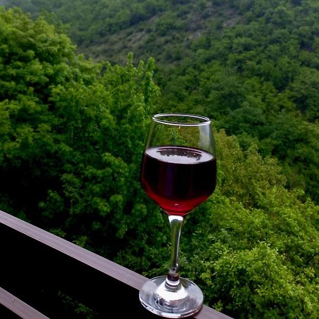Dilivita Rest House Dilidżan Zewnętrze zdjęcie